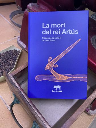 El càntir del mite (lectura de l’anònim La mort del rei Artús), Daniel Vargas  | Llibreria Ombra | Llibreria online de Rubí, Barcelona | Comprar llibres en català i castellà online