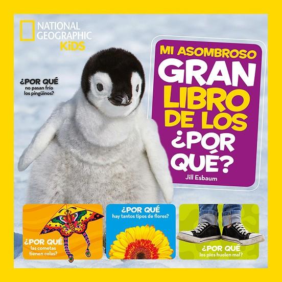 MI ASOMBROSO GRAN LIBRO DE LOS POR QUÉ | 9788482987217 | ESBAUM JILL | Llibreria Ombra | Llibreria online de Rubí, Barcelona | Comprar llibres en català i castellà online