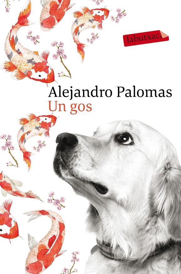 UN GOS | 9788416600625 | ALEJANDRO PALOMAS | Llibreria Ombra | Llibreria online de Rubí, Barcelona | Comprar llibres en català i castellà online