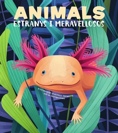 ANIMALS EXTRANYS I MERAVELLOSOS (VVKIDS) | 9788468270685 | BANFI, CRISTINA | Llibreria Ombra | Llibreria online de Rubí, Barcelona | Comprar llibres en català i castellà online