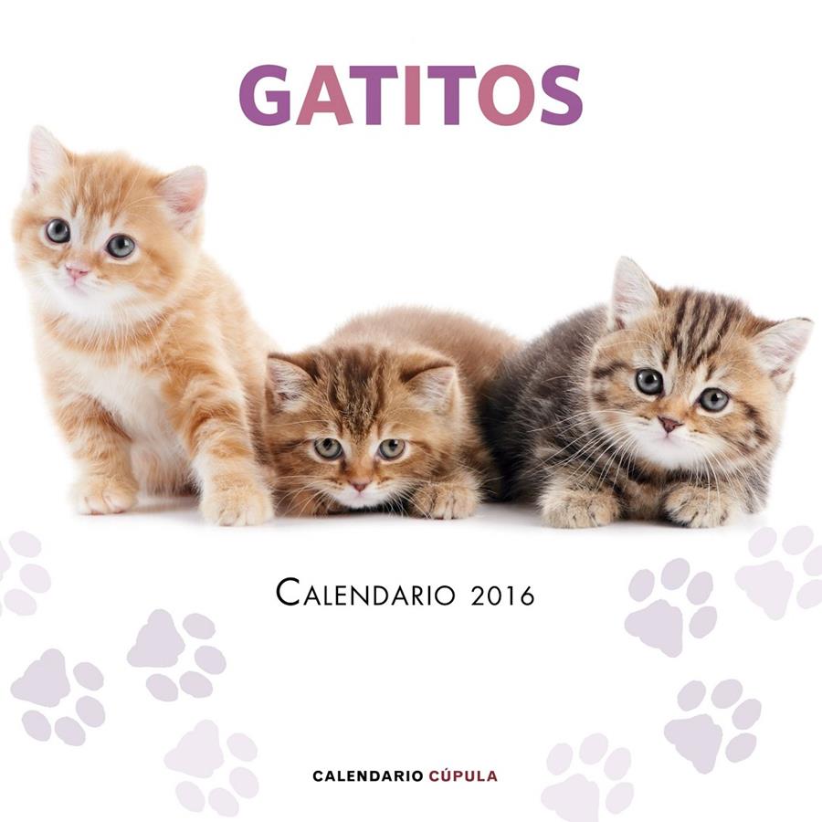 CALENDARIO GATITOS 2016 | 9788448021719 | AA. VV. | Llibreria Ombra | Llibreria online de Rubí, Barcelona | Comprar llibres en català i castellà online