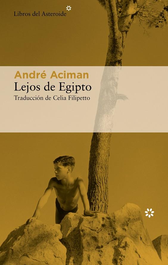 LEJOS DE EGIPTO | 9788417977757 | ACIMAN, ANDRÉ | Llibreria Ombra | Llibreria online de Rubí, Barcelona | Comprar llibres en català i castellà online