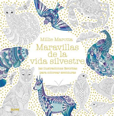 MARAVILLAS DE LA VIDA SILVESTRE | 9788417492243 | MAROTTA, MILLIE | Llibreria Ombra | Llibreria online de Rubí, Barcelona | Comprar llibres en català i castellà online