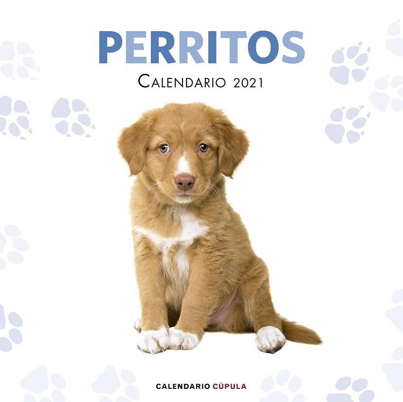 CALENDARIO PERRITOS 2021 | 9788448027766 | AA. VV. | Llibreria Ombra | Llibreria online de Rubí, Barcelona | Comprar llibres en català i castellà online