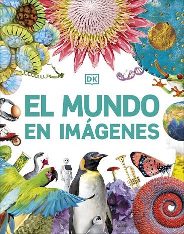 EL MUNDO EN IMÁGENES | 9780241642177 | DK | Llibreria Ombra | Llibreria online de Rubí, Barcelona | Comprar llibres en català i castellà online