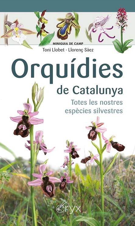 ORQUÍDIES DE CATALUNYA | 9788413560403 | SÀEZ GOÑALONS, LLORENÇ/LLOBET FRANÇOIS, TONI | Llibreria Ombra | Llibreria online de Rubí, Barcelona | Comprar llibres en català i castellà online