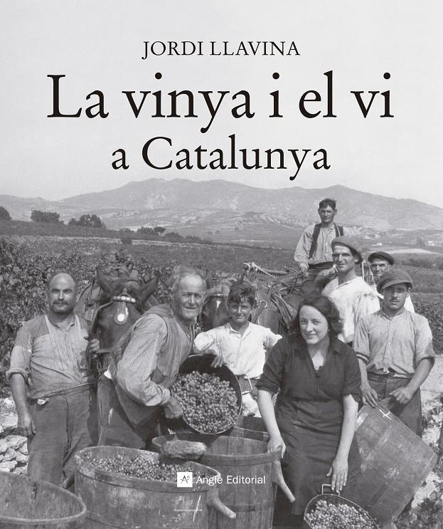 LA VINYA I EL VI A CATALUNYA | 9788416139187 | LLAVINA, JORDI | Llibreria Ombra | Llibreria online de Rubí, Barcelona | Comprar llibres en català i castellà online