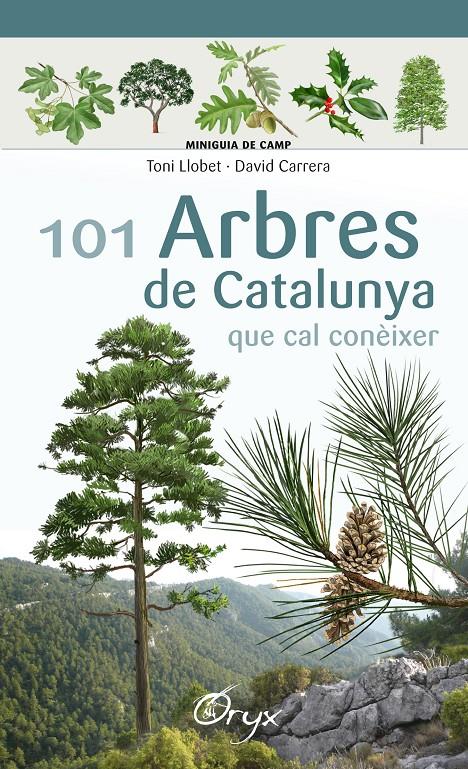 101 ARBRES DE CATALUNYA | 9788490346778 | LLOBET FRANÇOIS, TONI/CARRERA BONET, DAVID | Llibreria Ombra | Llibreria online de Rubí, Barcelona | Comprar llibres en català i castellà online