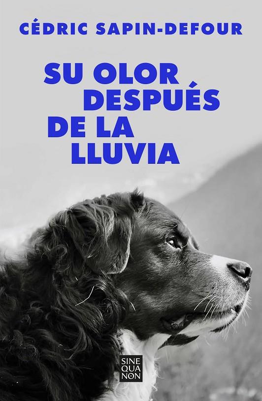 SU OLOR DESPUÉS DE LA LLUVIA | 9788466678766 | SAPIN-DEFOUR, CÉDRIC | Llibreria Ombra | Llibreria online de Rubí, Barcelona | Comprar llibres en català i castellà online