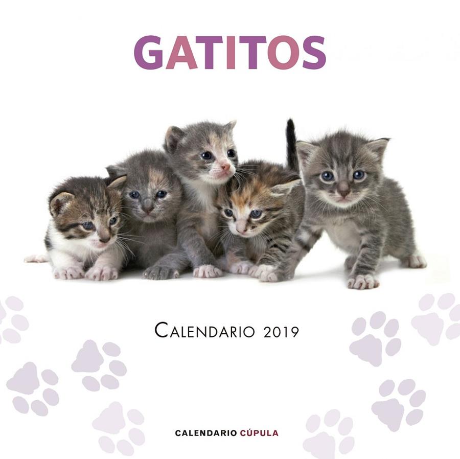 CALENDARIO GATITOS 2019 | 9788448024659 | AA. VV. | Llibreria Ombra | Llibreria online de Rubí, Barcelona | Comprar llibres en català i castellà online