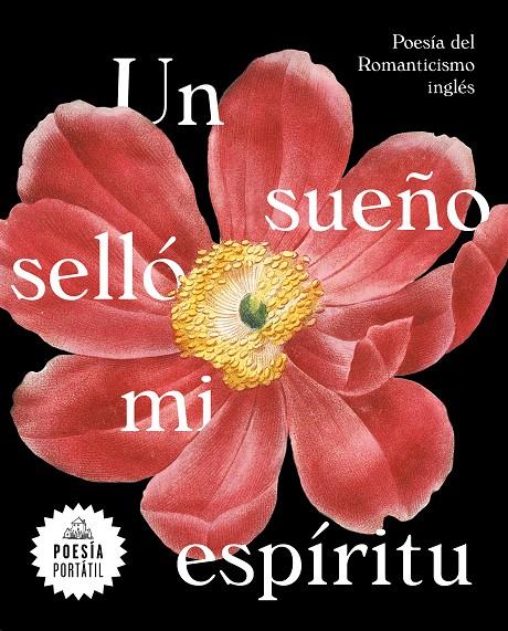 UN SUEÑO SELLÓ MI ESPÍRITU | 9788439735328 | VARIOS AUTORES, | Llibreria Ombra | Llibreria online de Rubí, Barcelona | Comprar llibres en català i castellà online