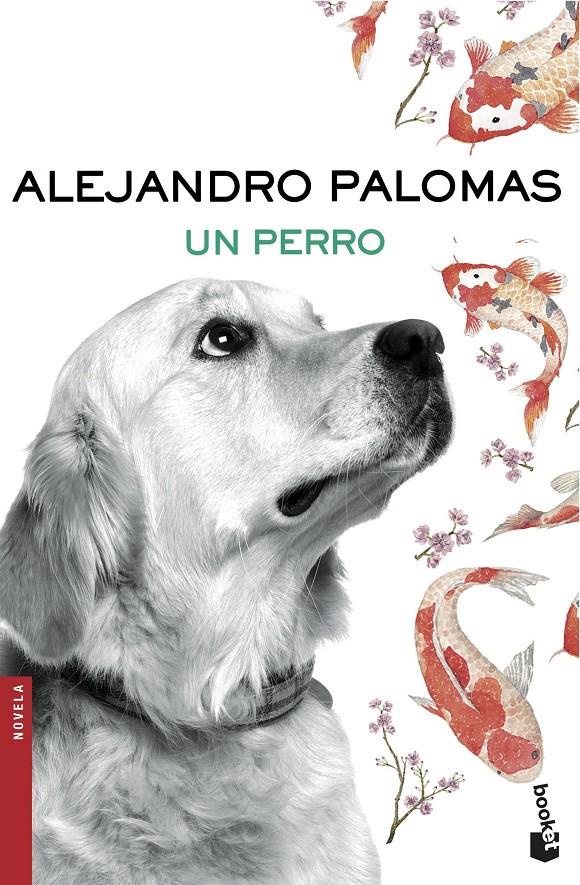 UN PERRO | 9788423351862 | ALEJANDRO PALOMAS | Llibreria Ombra | Llibreria online de Rubí, Barcelona | Comprar llibres en català i castellà online