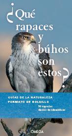 ¿QUE RAPACES Y BUHOS SON ESTOS? | 9788428217095 | DIERSCHKE, VOLKER | Llibreria Ombra | Llibreria online de Rubí, Barcelona | Comprar llibres en català i castellà online