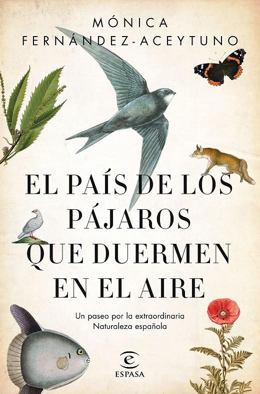 EL PAÍS DE LOS PÁJAROS QUE DUERMEN EN EL AIRE | 9788467051469 | FERNÁNDEZ-ACEYTUNO SAÉNZ DE SANTA MARÍA, MÓNICA | Llibreria Ombra | Llibreria online de Rubí, Barcelona | Comprar llibres en català i castellà online