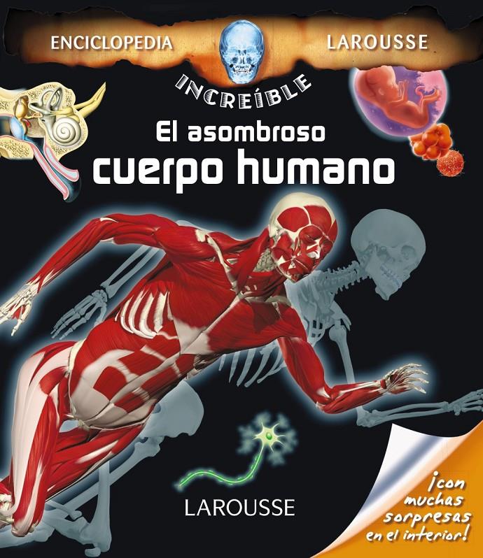 EL ASOMBROSO CUERPO HUMANO | 9788416368112 | LAROUSSE EDITORIAL | Llibreria Ombra | Llibreria online de Rubí, Barcelona | Comprar llibres en català i castellà online