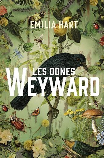 LES DONES WEYWARD | 9788466430210 | HART, EMILIA | Llibreria Ombra | Llibreria online de Rubí, Barcelona | Comprar llibres en català i castellà online