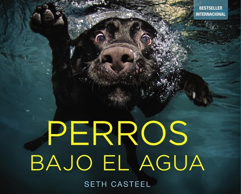 PERROS BAJO EL AGUA | 9788441534612 | SETH CASTEEL | Llibreria Ombra | Llibreria online de Rubí, Barcelona | Comprar llibres en català i castellà online