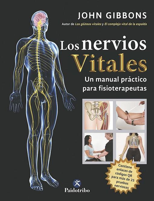 LOS NERVIOS VITALES | 9788499109985 | GIBBONS, JOHN | Llibreria Ombra | Llibreria online de Rubí, Barcelona | Comprar llibres en català i castellà online