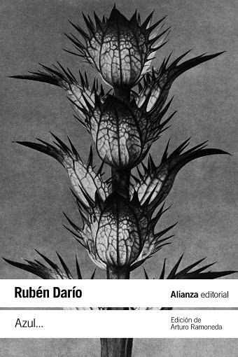 AZUL... | 9788411480949 | DARÍO, RUBÉN | Llibreria Ombra | Llibreria online de Rubí, Barcelona | Comprar llibres en català i castellà online