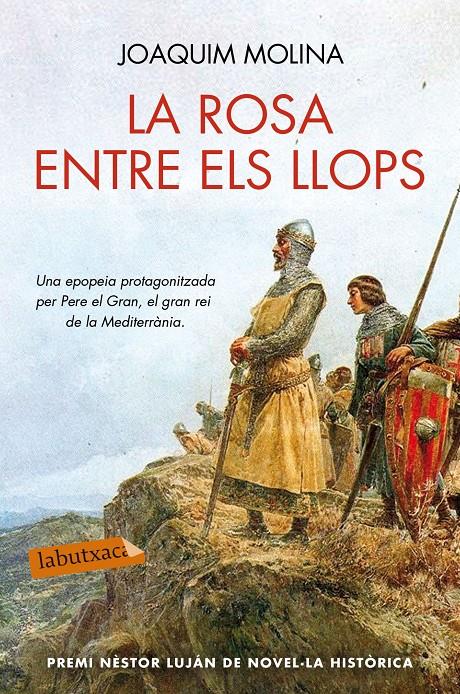 LA ROSA ENTRE ELS LLOPS | 9788416334629 | JOAQUIM MOLINA | Llibreria Ombra | Llibreria online de Rubí, Barcelona | Comprar llibres en català i castellà online