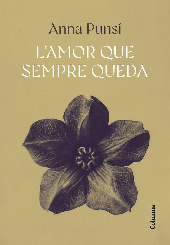 L'AMOR QUE SEMPRE QUEDA | 9788466432382 | PUNSÍ LLADÓ, ANNA | Llibreria Ombra | Llibreria online de Rubí, Barcelona | Comprar llibres en català i castellà online