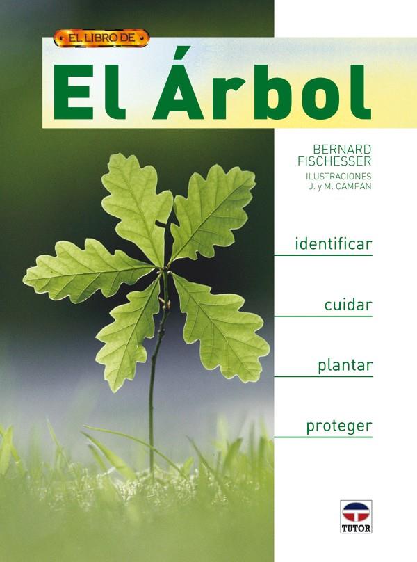 EL ÁRBOL | 9788479027834 | FISCHESSER, BERNARD | Llibreria Ombra | Llibreria online de Rubí, Barcelona | Comprar llibres en català i castellà online