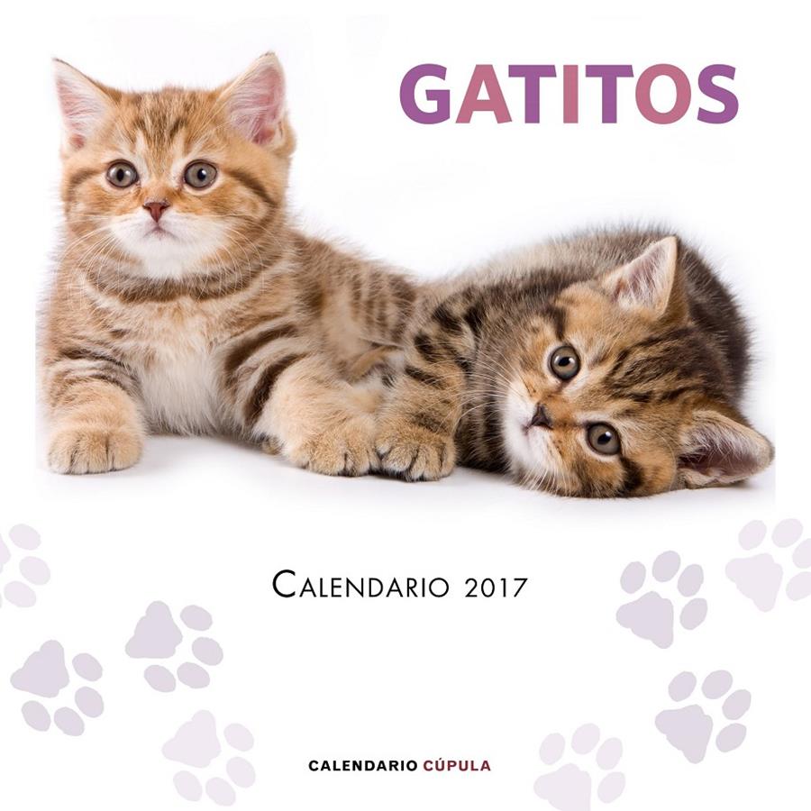 CALENDARIO GATITOS 2017 | 9788448022594 | AA. VV. | Llibreria Ombra | Llibreria online de Rubí, Barcelona | Comprar llibres en català i castellà online