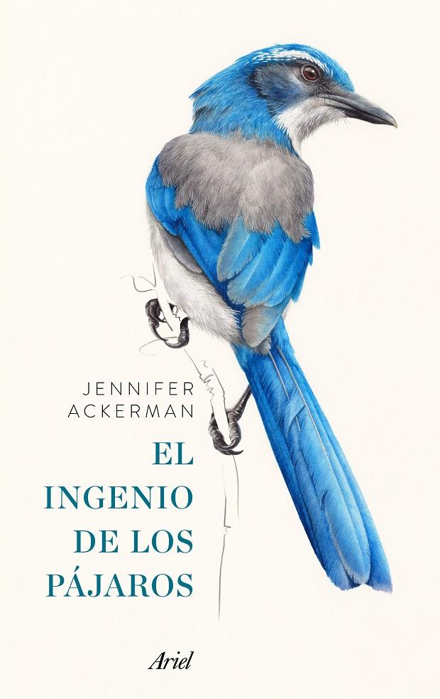 EL INGENIO DE LOS PÁJAROS | 9788434425262 | JENNIFER ACKERMAN | Llibreria Ombra | Llibreria online de Rubí, Barcelona | Comprar llibres en català i castellà online