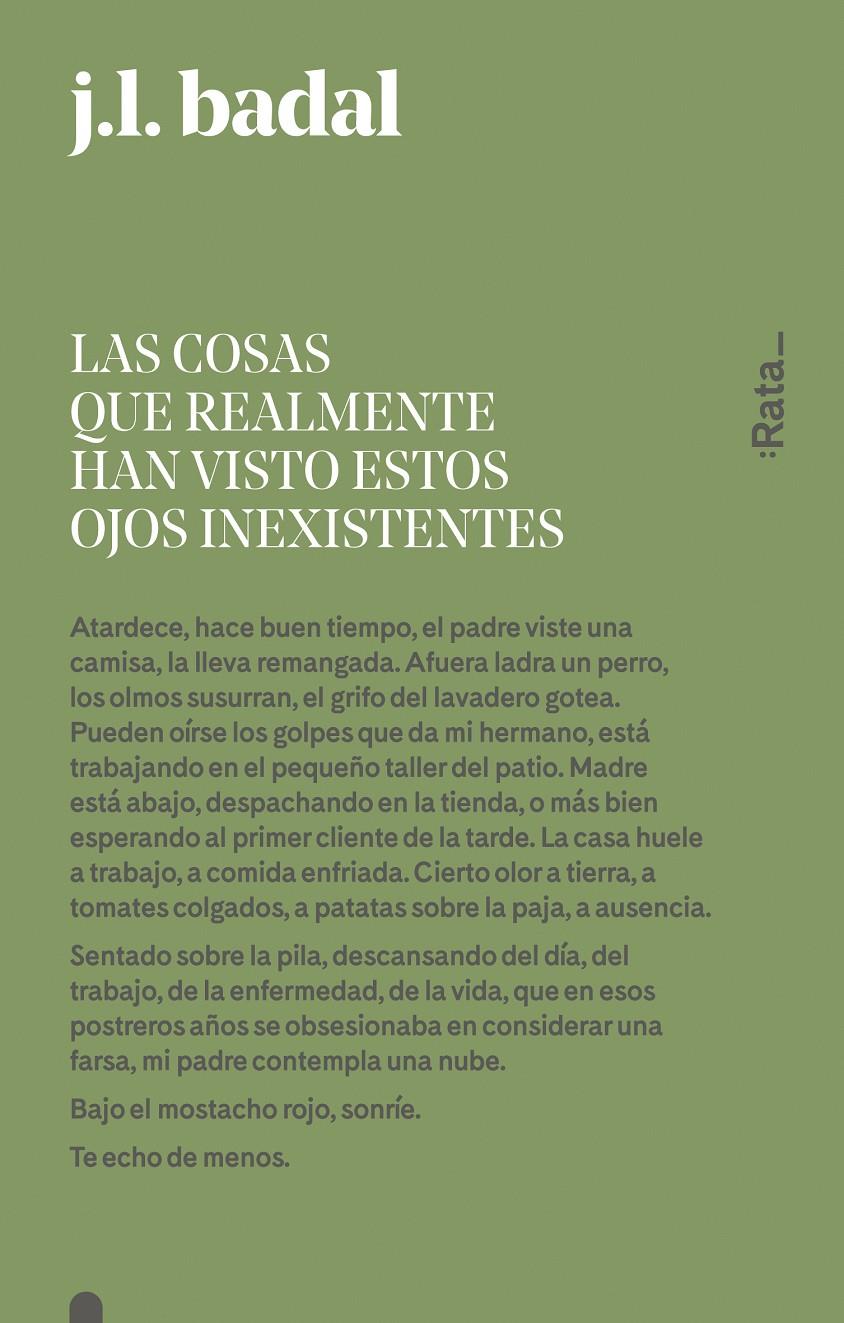 LAS COSAS QUE REALMENTE HAN VISTO ESTOS OJOS INEXISTENTES | 9788416738151 | BADAL, JOSEP LLUÍS | Llibreria Ombra | Llibreria online de Rubí, Barcelona | Comprar llibres en català i castellà online