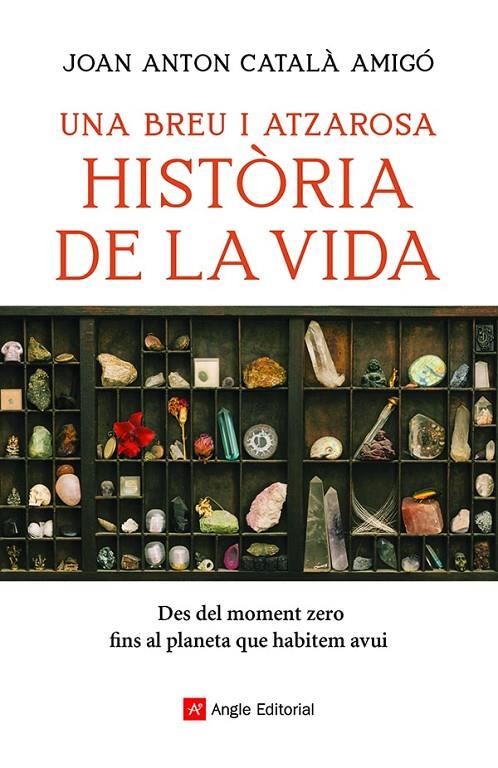 UNA BREU I ATZAROSA HISTÒRIA DE LA VIDA | 9788418197956 | CATALÀ AMIGÓ, JOAN ANTON | Llibreria Ombra | Llibreria online de Rubí, Barcelona | Comprar llibres en català i castellà online