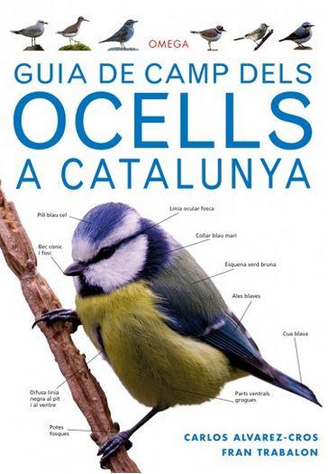 GUIA DE CAMP DELS OCELLS A CATALUNYA | 9788428216562 | ALVAREZ CROS, CARLOS / TRABALON CARRICONDO, FRAN | Llibreria Ombra | Llibreria online de Rubí, Barcelona | Comprar llibres en català i castellà online