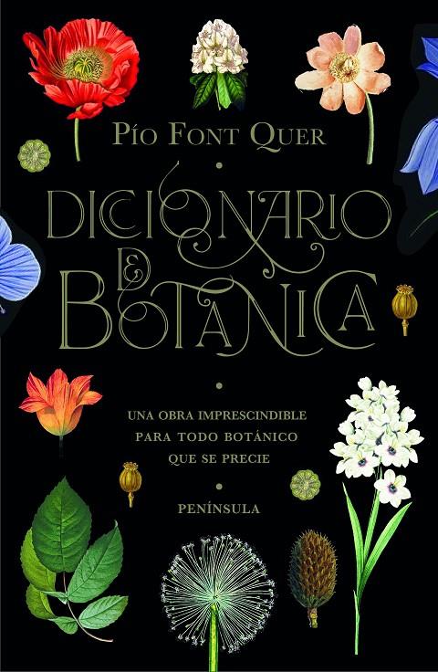 DICCIONARIO DE BOTÁNICA | 9788499429076 | FONT QUER, PÍO | Llibreria Ombra | Llibreria online de Rubí, Barcelona | Comprar llibres en català i castellà online