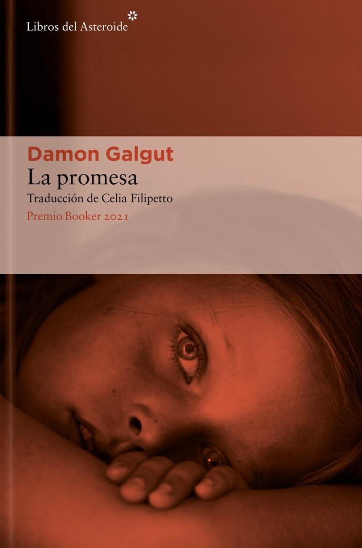 LA PROMESA | 9788419089205 | GALGUT, DAMON | Llibreria Ombra | Llibreria online de Rubí, Barcelona | Comprar llibres en català i castellà online