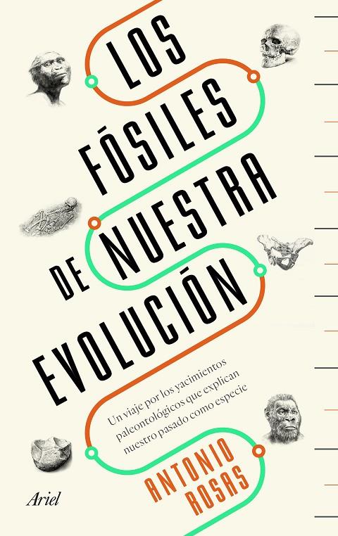 LOS FÓSILES DE NUESTRA EVOLUCIÓN | 9788434429642 | ROSAS, ANTONIO | Llibreria Ombra | Llibreria online de Rubí, Barcelona | Comprar llibres en català i castellà online