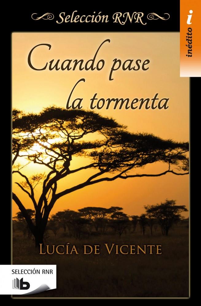 CUANDO PASE LA TORMENTA (SELECCIÓN RNR) | 9788490702543 | DE VICENTE, LUCÍA | Llibreria Ombra | Llibreria online de Rubí, Barcelona | Comprar llibres en català i castellà online