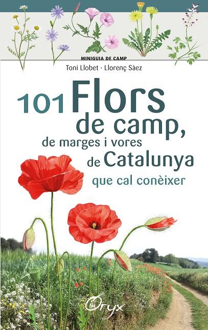 101 FLORS DE CAMP, DE MARGES I VORES DE CATALUNYA | 9788490348413 | LLOBET FRANÇOIS , TONI/SÀEZ GOÑALONS , LLORENÇ | Llibreria Ombra | Llibreria online de Rubí, Barcelona | Comprar llibres en català i castellà online