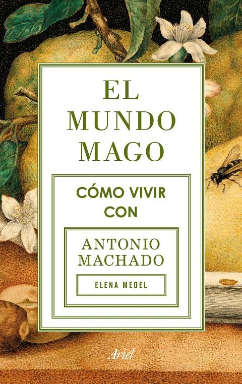 EL MUNDO MAGO | 9788434422353 | ELENA MEDEL | Llibreria Ombra | Llibreria online de Rubí, Barcelona | Comprar llibres en català i castellà online