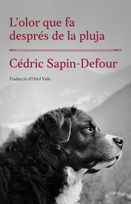 L'OLOR QUE FA DESPRÉS DE LA PLUJA | 9788417353568 | CÉDRIC SAPIN-DEFOUR | Llibreria Ombra | Llibreria online de Rubí, Barcelona | Comprar llibres en català i castellà online