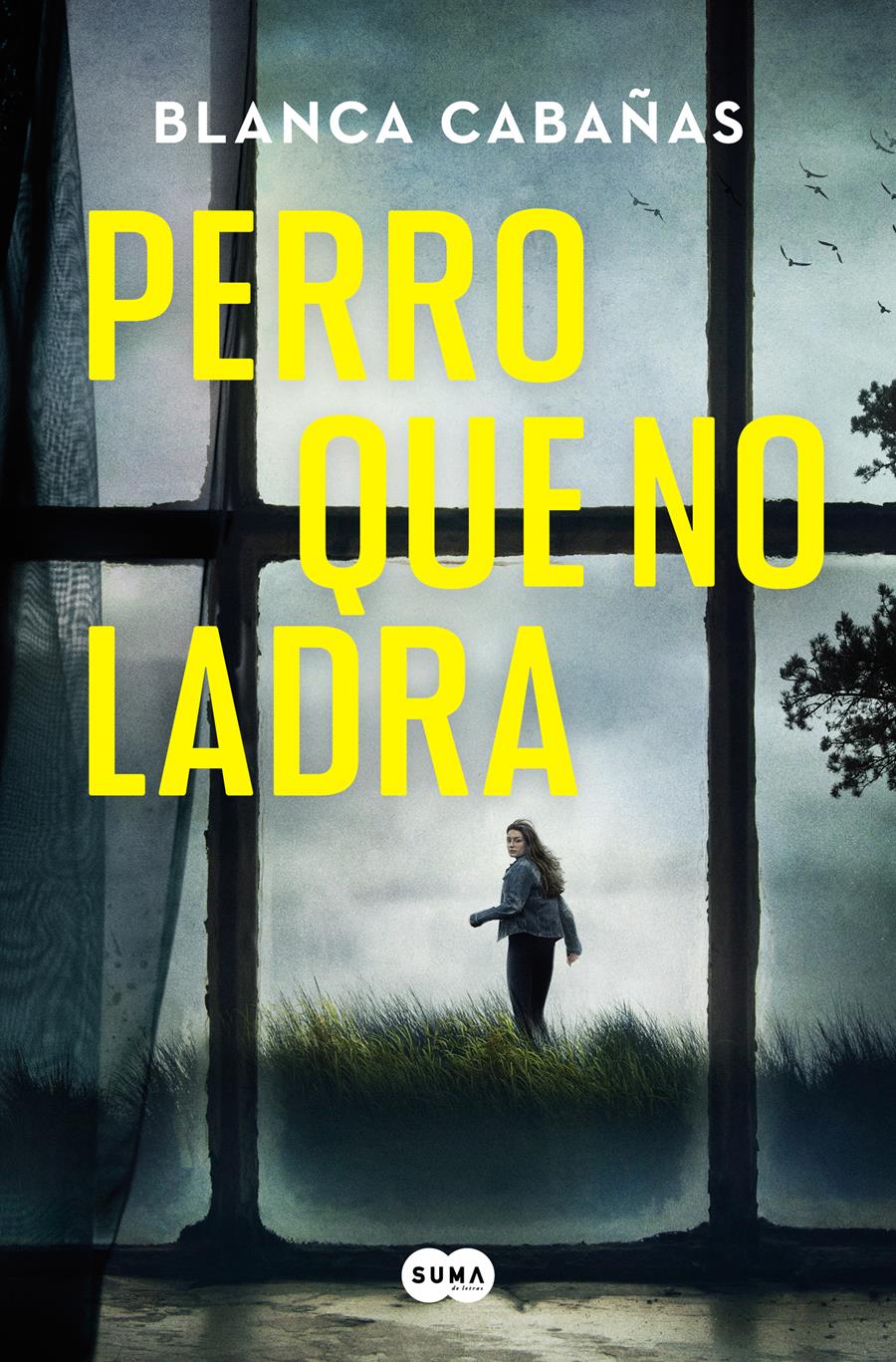 PERRO QUE NO LADRA | 9788491296546 | CABAÑAS, BLANCA | Llibreria Ombra | Llibreria online de Rubí, Barcelona | Comprar llibres en català i castellà online