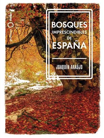 BOSQUES IMPRESCINDIBLES DE ESPAÑA | 9788408239529 | ARAÚJO, JOAQUÍN | Llibreria Ombra | Llibreria online de Rubí, Barcelona | Comprar llibres en català i castellà online