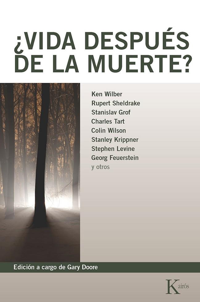 ¿VIDA DESPUÉS DE LA MUERTE? | 9788472452619 | VARIOS AUTORES | Llibreria Ombra | Llibreria online de Rubí, Barcelona | Comprar llibres en català i castellà online