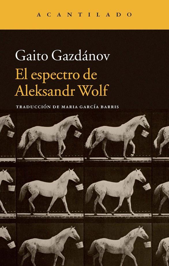 EL ESPECTRO DE ALEKSANDR WOLF | 9788416011414 | GAZDÁNOV, GAITO/GARCÍA BARRIS, MARÍA | Llibreria Ombra | Llibreria online de Rubí, Barcelona | Comprar llibres en català i castellà online