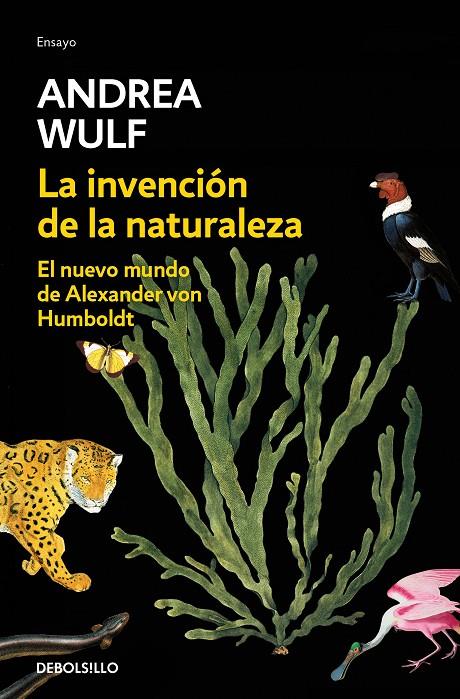 LA INVENCIÓN DE LA NATURALEZA | 9788466346108 | WULF, ANDREA | Llibreria Ombra | Llibreria online de Rubí, Barcelona | Comprar llibres en català i castellà online