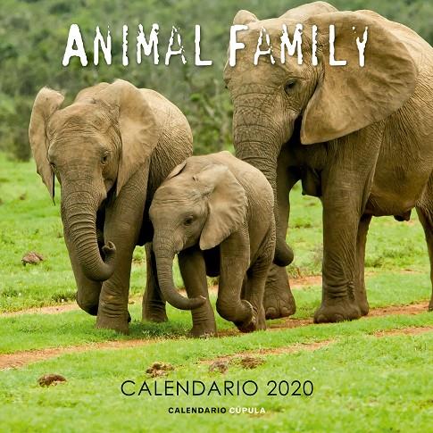 CALENDARIO ANIMAL FAMILY 2020 | 9788448026189 | AA. VV. | Llibreria Ombra | Llibreria online de Rubí, Barcelona | Comprar llibres en català i castellà online