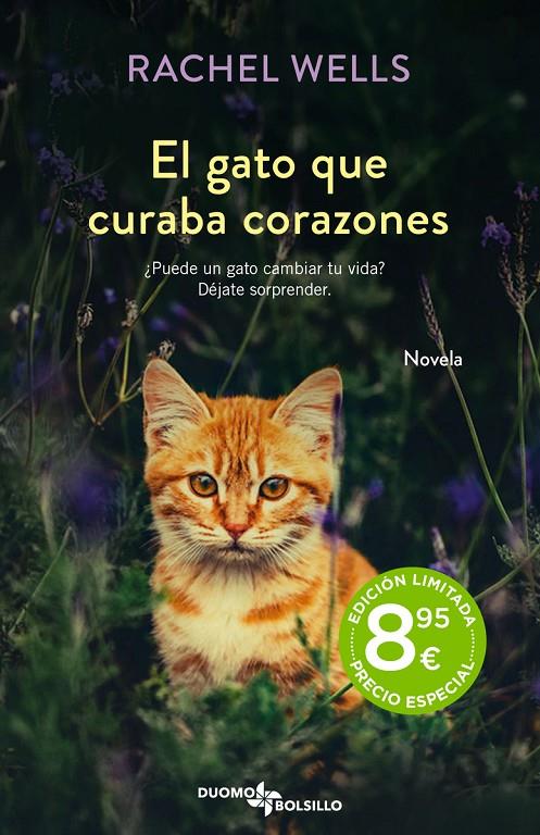 EL GATO QUE CURABA CORAZONES | 9788419004468 | WELLS, RACHEL | Llibreria Ombra | Llibreria online de Rubí, Barcelona | Comprar llibres en català i castellà online