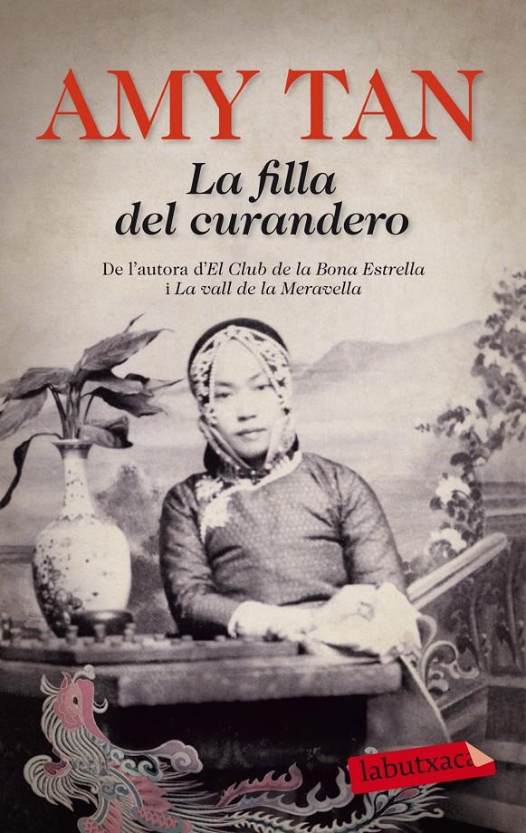 LA FILLA DEL CURANDERO | 9788499308371 | AMY TAN | Llibreria Ombra | Llibreria online de Rubí, Barcelona | Comprar llibres en català i castellà online