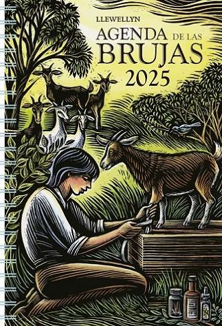 2025 AGENDA DE LAS BRUJAS | 9788411721509 | LLEWELLYN | Llibreria Ombra | Llibreria online de Rubí, Barcelona | Comprar llibres en català i castellà online