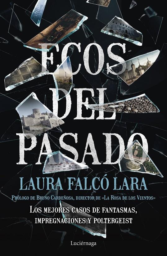 ECOS DEL PASADO | 9788417371036 | FALCÓ, LAURA | Llibreria Ombra | Llibreria online de Rubí, Barcelona | Comprar llibres en català i castellà online