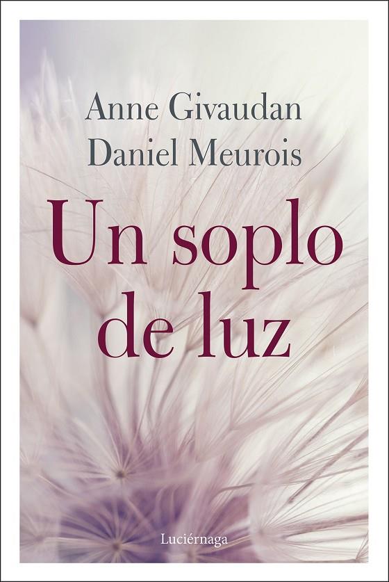 UN SOPLO DE LUZ | 9788412050608 | GIVAUDAN, ANNE/MEUROIS, DANIEL | Llibreria Ombra | Llibreria online de Rubí, Barcelona | Comprar llibres en català i castellà online