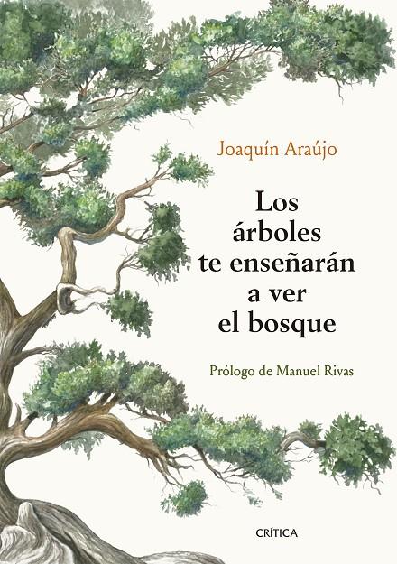 LOS ÁRBOLES TE ENSEÑARÁN A VER EL BOSQUE | 9788491992080 | ARAÚJO, JOAQUÍN | Llibreria Ombra | Llibreria online de Rubí, Barcelona | Comprar llibres en català i castellà online